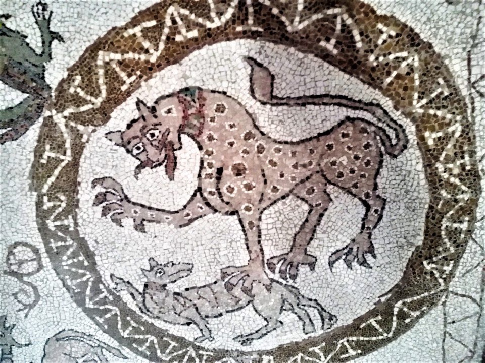 Particolare mosaico con leopardo.