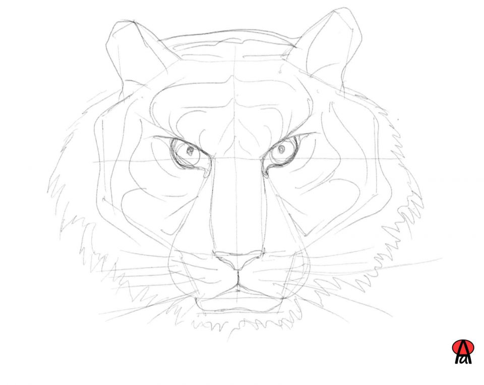 disegno del volto della tigre